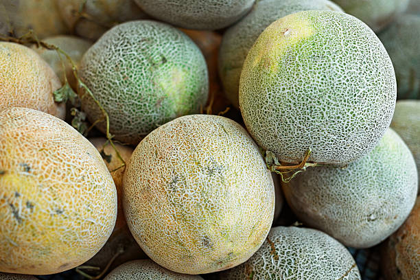melons close-up at the market