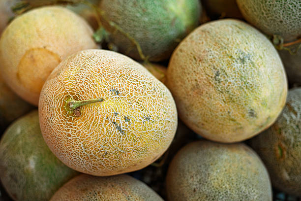 melons close-up at the market