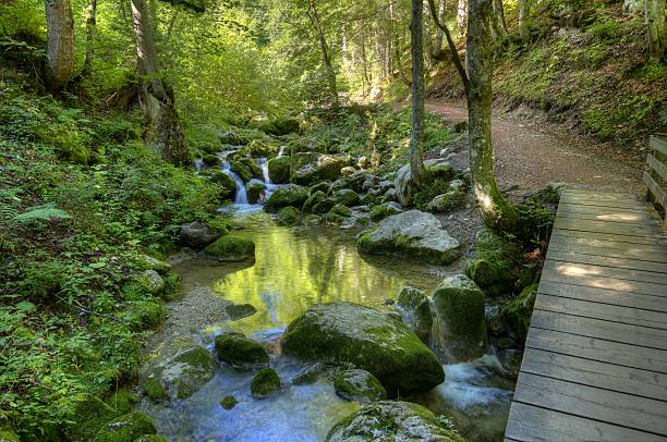 istock Footbridge at waterfall trail over Lofer, Austria, Europe 2237182237