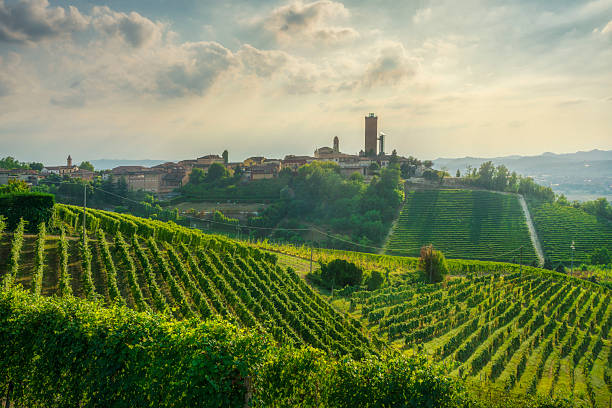 istock Barbaresco village with medieval tower and Langhe vineyards 2237185991