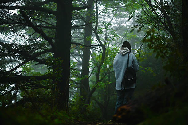 istock Person with backpack exploring foggy mysterious forest 2237187048