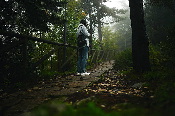 One person standing on a cobblestone path in a misty forest with trees and a wooden fence