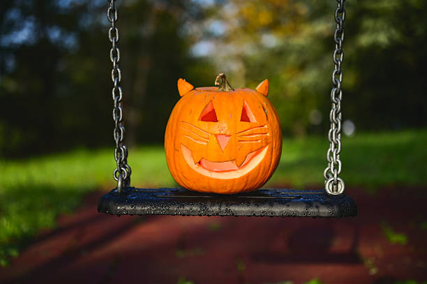 Carved cat jack-o'-lantern sitting on a wet swing in a park during autumn