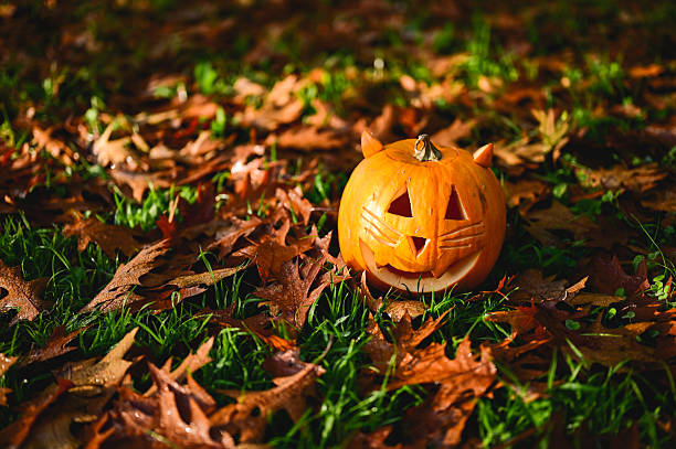 Halloween cat pumpkin smiling on green grass surrounded by fallen autumn leaves