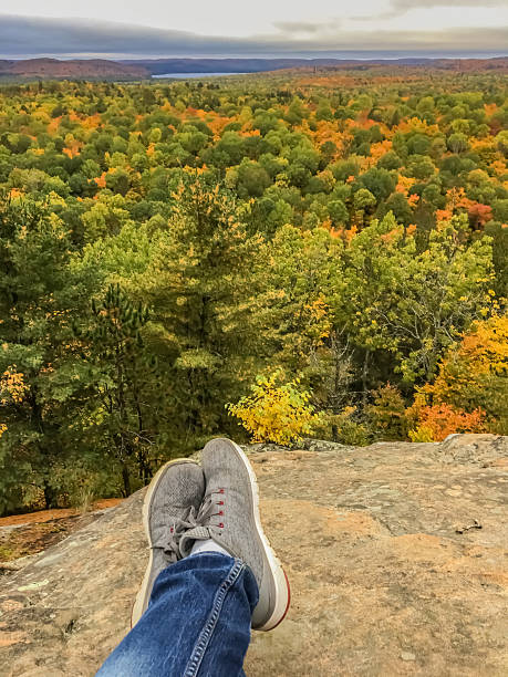 istock “Relaxing View of Autumn Forest from Mountain Cliff” 2237188872