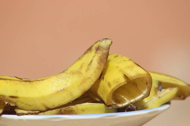 2 rotting bananas.