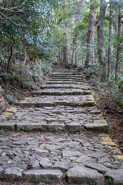istock Cobblestone stairs in the forest 2237190914