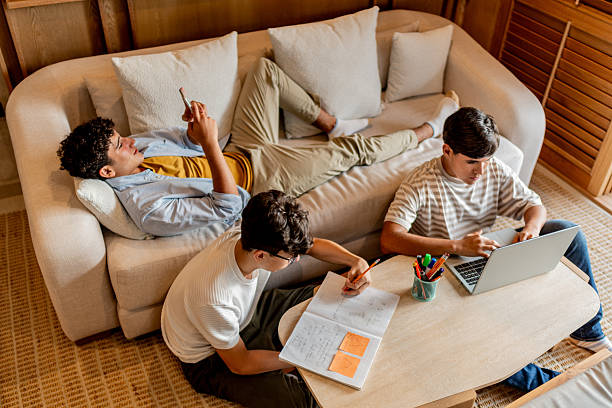 istock Teenage boys talking and studying at home 2237192930