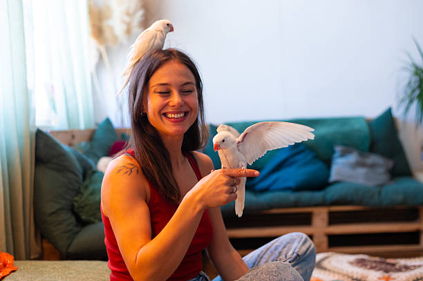 istock Young smiling woman playing with her pet parakeets 2237193537