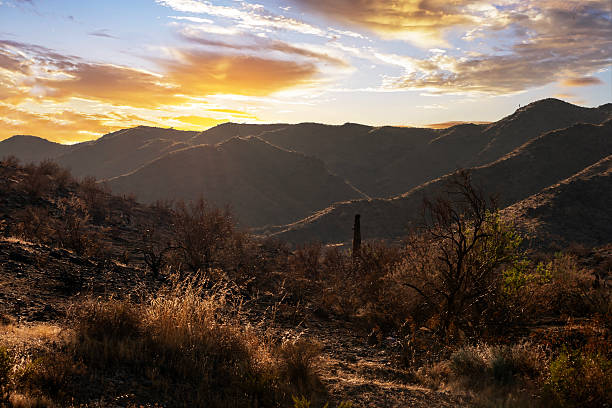 istock Desert sunset near Phoenix Arizona 2237196292
