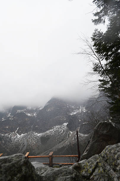 Misty Mountain Vista showcases a tranquil landscape featuring lush forests, distant snow-capped peaks, and a peaceful atmosphere, perfect for exploring themes of nature, travel, adventure, and scenic