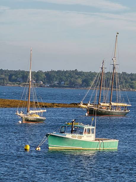 istock Summer is the Maine Thing. 2237204692