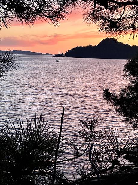 istock Sunset on the Pontevedra estuary and Tambo Island 2237204785