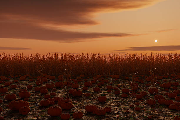 istock 3D rendering of many pumpkins lying on the ground in front of a 2237205379