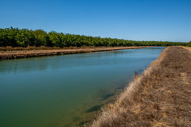 Levee and water destined for irrigation, Sacramento Valley, California.
