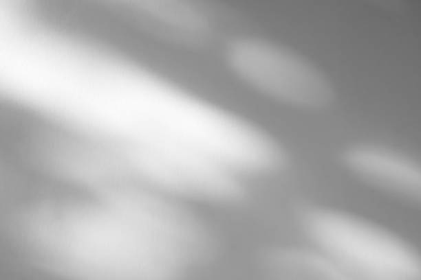istock Abstract natural tree branch leaves shadow on white wall background 2237211345