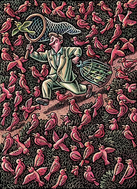 man in field of red birds catches green bird in net