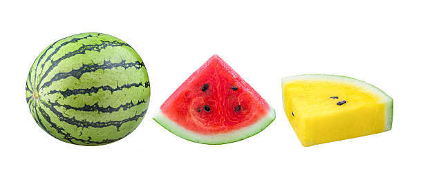 istock water melon isolated on white background 2237212479
