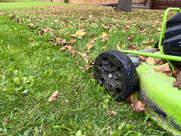 istock Lawn mower on autumn grass 2237220576