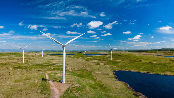 Wind generator in the process of generating electrical energy in a wind farm