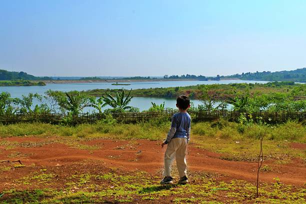 A boy gazes up at the sky in open countryside, symbolizing childhood dreams, curiosity, and harmony with nature.