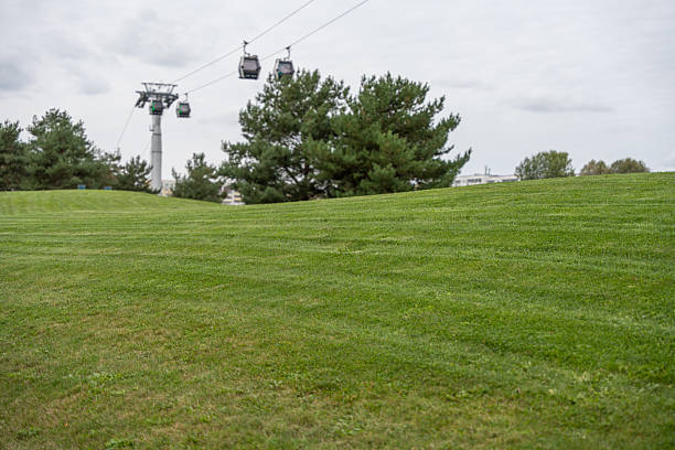 istock Well-kept lawn with a gentle hill. 2237254338