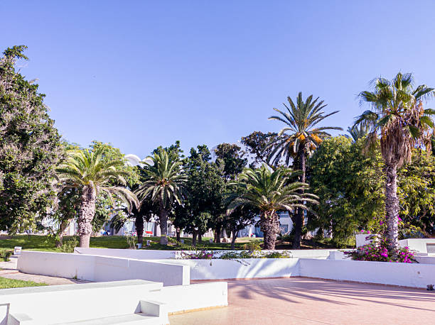 istock Trees in garden in summertime 2237254625