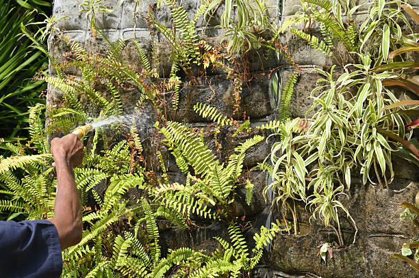 Decorative wall plants for the home