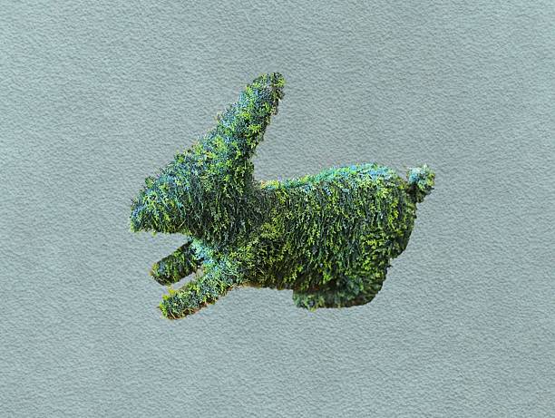 The green background in the picture is a green rabbit made from green plastic. It is used as a decorative material in the lawn or other places. It is a material made from plastic that is easy.