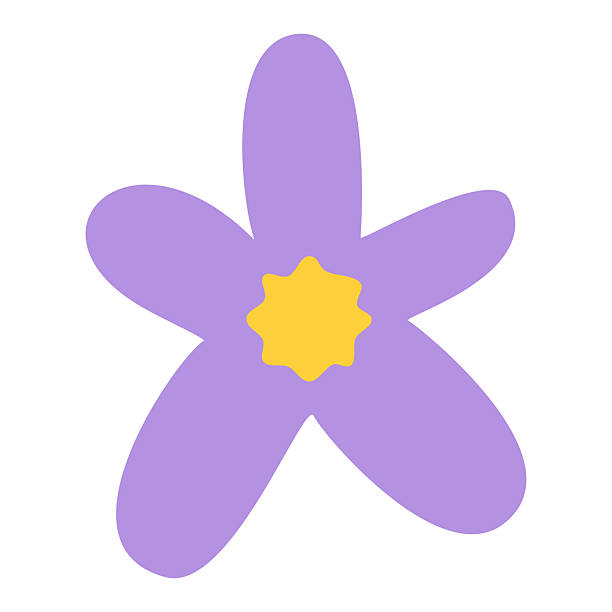 istock Delicate lilac flower blooms, a symbol of spring, elegance, and new beginnings in a simple design 2237267605