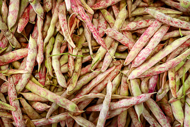 green beans close-up at the market