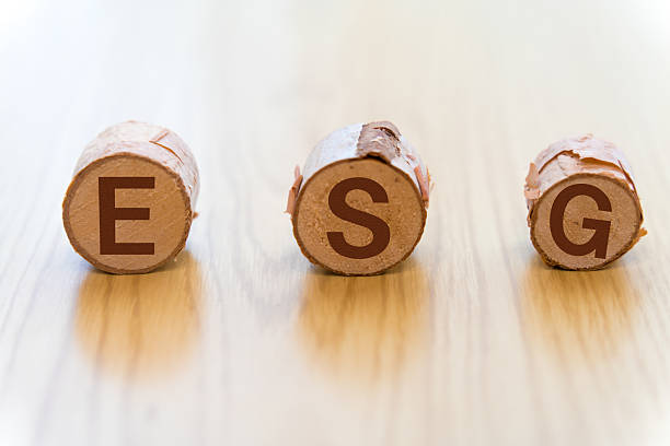istock The letters ESG written on a log 2237269026