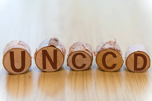 istock The letters UNCCD written on a log 2237269536