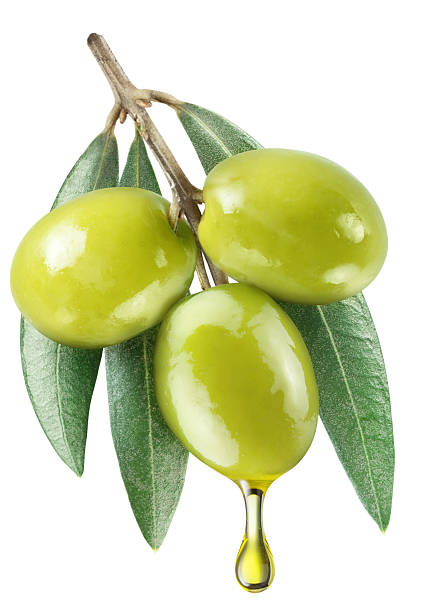 istock Green olives on olive tree branch with oil drops isolated on a white background. Clipping path. 2237273265