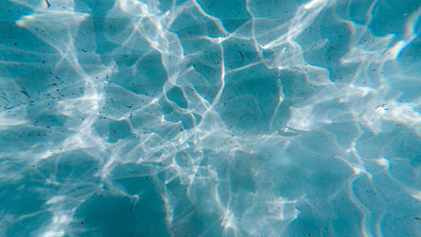 istock Sandy beach floor with seaweeds and one small fish. Sea water effect 2237273753