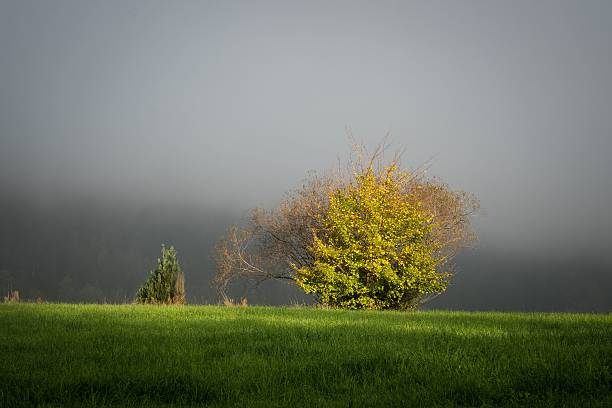 http://www.istockphoto.com/file_thumbview_approve.php?size=1&id=925210