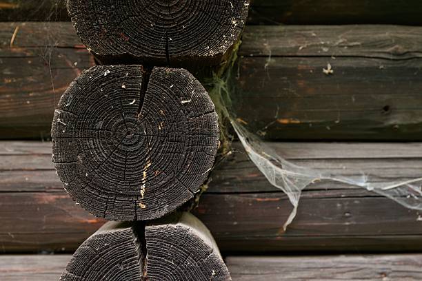 Close-up of a forest hut's walls at the corner.