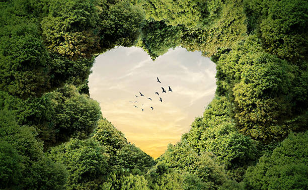istock Green World Map love concept- 3D tree or forest shape of world map isolated on white background. 2237282036