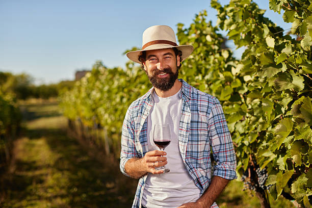 istock Winemaker holding red wine tasting glass in vineyard 2237282096