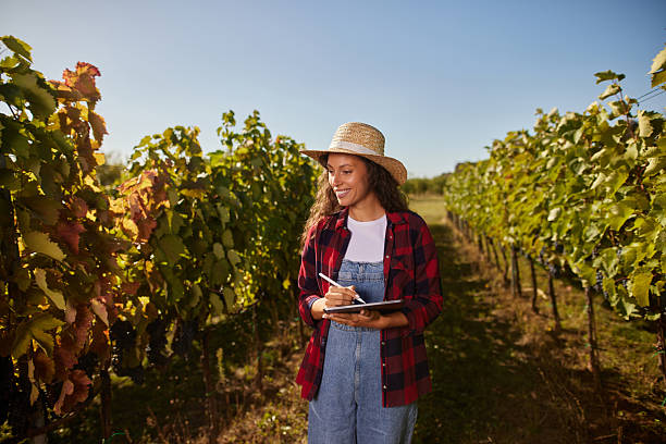 istock Woman farmer using tablet in vineyard managing grape harvest 2237282929