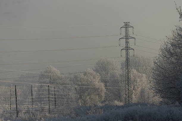 Winter. Snow covered trees in a park, forming a winter background with visible branches and a seasonal landscape.