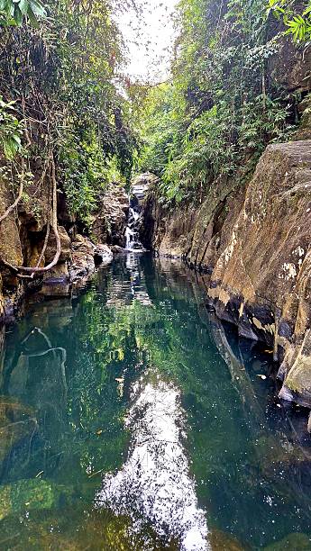 istock tropical jungle with waterfall - Asia 2237285666
