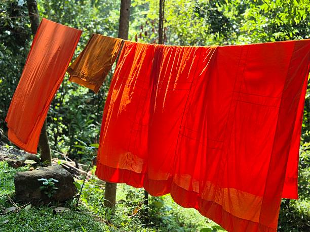 istock tropical jungle - Asia - orange monk robes 2237285674