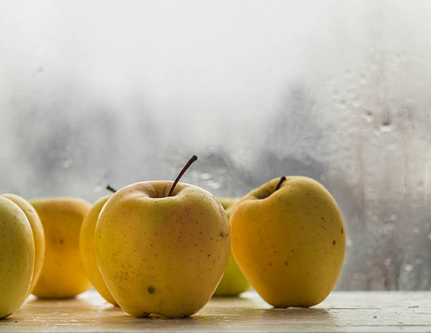 Fresh ripe yellow apples on the windowsill. Healthy eating.