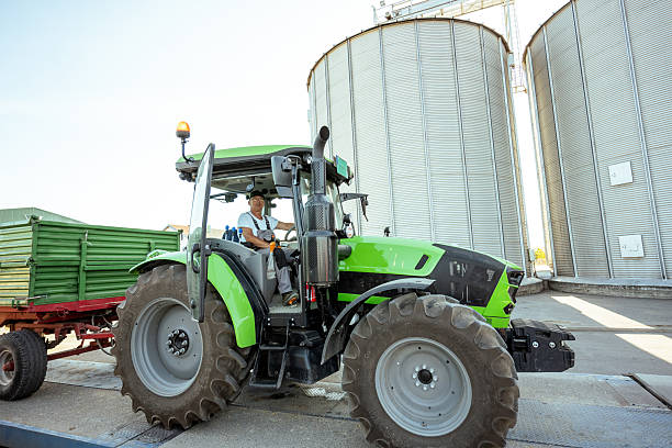 Senior farmer driving tractor with loaded trailers to the silos