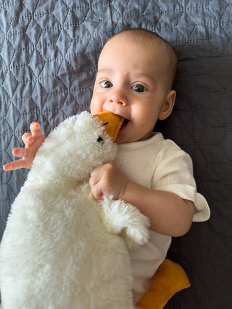istock Baby Smiling with Plush Duck Toy 2237294183