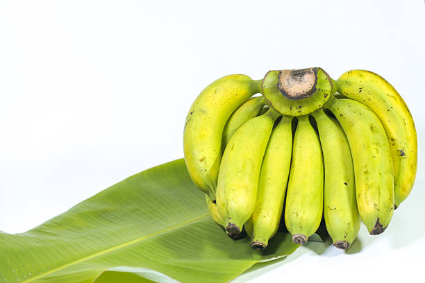 Bananas on a Banana Leaf, White Background