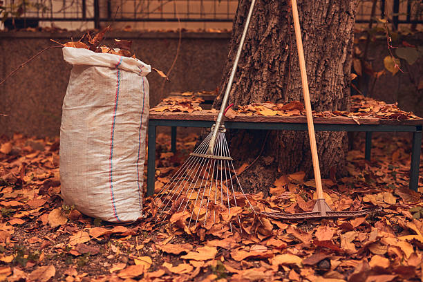 istock Bag and garden tools for collecting autumn fallen leaves. 2237303784