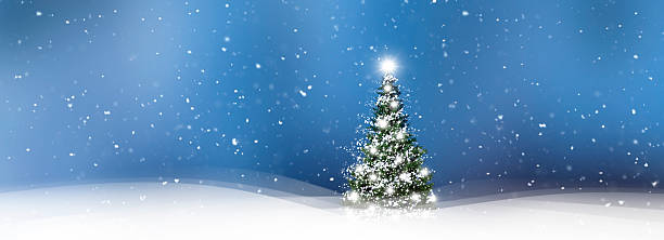 istock Illuminated decorated Christmas tree in a snowy winter forest 2237303977