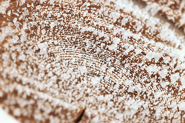 Closeup macro of frost crystals on textured wooden tree surface in winter cold. Pattern of snowflakes on slice of wood as environment background. Concept of nature, season, natural decorative pattern